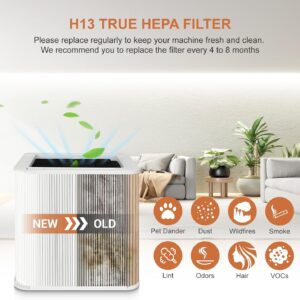 211+ Replacement Filter Compatible with Blueair Blue Pure 211+ Air Cleaner Purifier, H13 Hepa Foldable Filter and Activated Carbon Replacement Filter 2 Pack