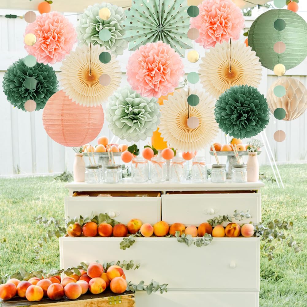 Sage Green and Peach Party Decorations Paper Lanterns Sage Green Peach Tissue Paper Pom Poms for Olive Sage Green and Peach Baby Shower Decorations Bridal Shower Wedding Engagement Birthday Party