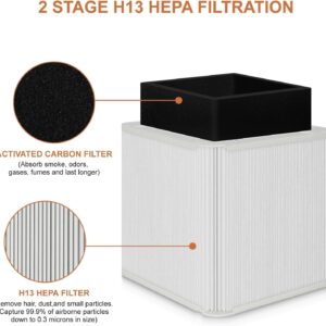 211+ Replacement Filter Compatible with Blueair Blue Pure 211+ Air Cleaner Purifier, H13 Hepa Foldable Filter and Activated Carbon Replacement Filter 2 Pack