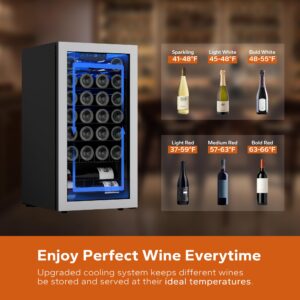 Ca'Lefort Wine Fridge, 27 Bottles Wine Cooler with Digital 38-65℉ Temper Control, Wine Cooler Refrigerator Freestanding and Under Counter with Anti-U V Glass Door for Home Office Dorm