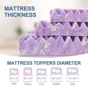 Eiayeebil 2 Inch Memory Foam Mattress Topper, 5-Zone Twin Mattress Pad Gel Infused Bed Foam Topper, Soft Bed Topper Purple,Twin Size