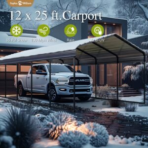 Carport Car Port Metal Canopy 12x25 ft Heavy Duty for Snow, Portable Garage Kit Shed Tent Shelter Metal Frame All Weather Outdoor for Boat with Removable Sidewalls, Dark Grey, Sophia & William