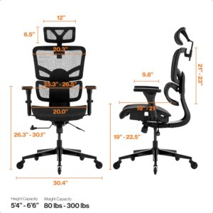 Wellnewlife Prestige Ergonomic Office Chair Adjustable Lumbar Support and Seat Depth, Mesh Office Chair with 4D Adjustable Armrest, Adjustable Headrest and Wheels, High Back Home Office Desk Chairs