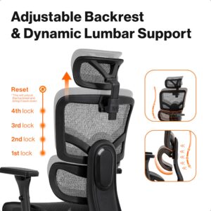 Wellnewlife Prestige Ergonomic Office Chair Adjustable Lumbar Support and Seat Depth, Mesh Office Chair with 4D Adjustable Armrest, Adjustable Headrest and Wheels, High Back Home Office Desk Chairs