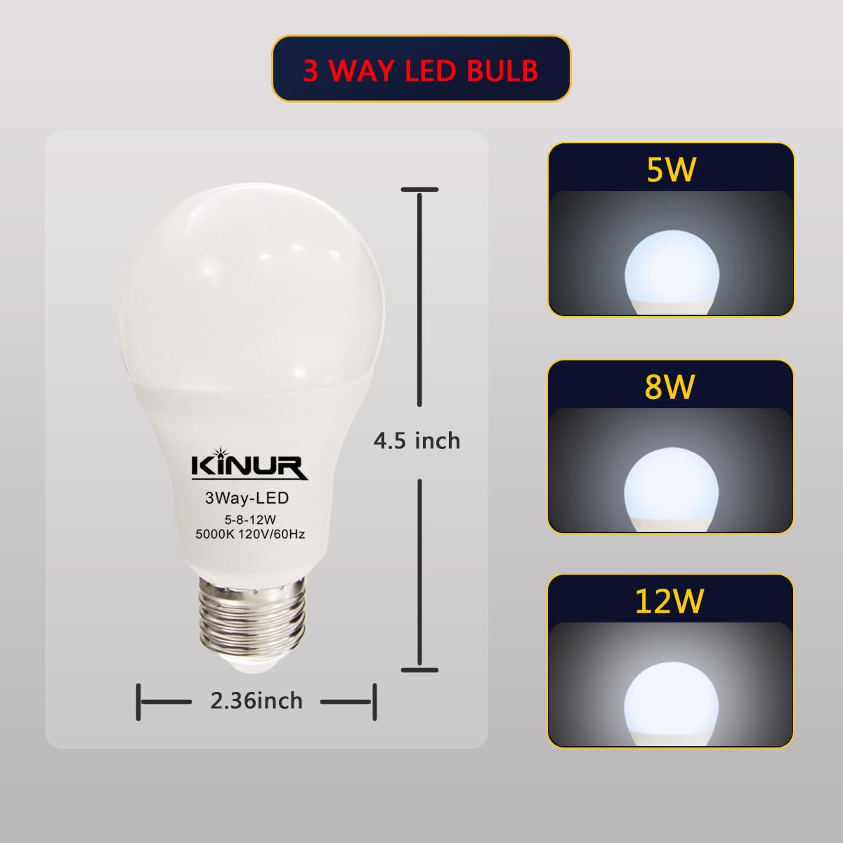 KINUR LED 3 Way Light Bulbs 30 70 100 watt Equivalent Daylight 5000K Daylight A19 Light Bulbs E26 Base Indoor 3-Way Light Bulbs 500lm-800lm-1200lm for Reading 2 Pack