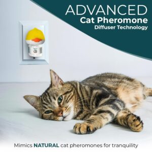 Doggy's Dinner Cat Calming Pheromone Plug-in Diffuser refills. Calming Pheromones help Relieve Anxiety. Contains (3 48ml refills 90 day supply) Works with most other brand Diffusers., Clear