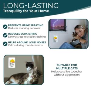 Doggy's Dinner Cat Calming Pheromone Plug-in Diffuser refills. Calming Pheromones help Relieve Anxiety. Contains (3 48ml refills 90 day supply) Works with most other brand Diffusers., Clear