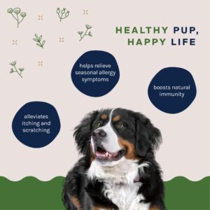 Good Trouble Pets Dog Allergy Support Soft Chew Supplements: Allergy Relief for Itching and Licking - Seasonal Allergy Relief for Dogs - Natural Ingredients Fight Natural Allergens - Boosts Immunity