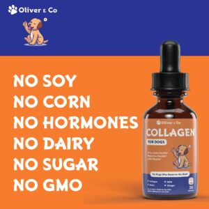 Collagen for Dogs - Dog Collagen - Liquid Collagen for Dogs - Itch Relief for Dogs - Dog Liquid Collagen - Liquid Collagen Dogs - Collagen Supplement for Dogs - Collagen Dogs - 1 fl oz - Bacon Flavor