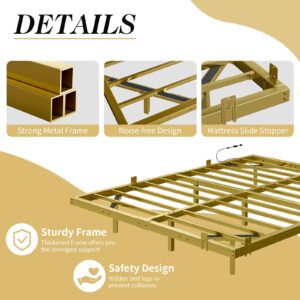 LUXOAK Full Size Floating Bed Frame with RGBW LED Light, Modern Metal Bed Frame with Steel Slat Support/Heavy Duty/No Box Spring Needed/Noise-Free, Gold