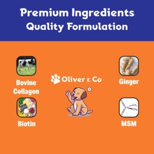 Collagen for Dogs - Dog Collagen - Liquid Collagen for Dogs - Itch Relief for Dogs - Dog Liquid Collagen - Liquid Collagen Dogs - Collagen Supplement for Dogs - Collagen Dogs - 1 fl oz - Bacon Flavor