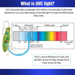 Qualirey 2 Pack UV Germicidal Light Bulb with Ozone, 25 Watt Replacement UVC Lamp E27 110V, UV Disinfection Light Bulb for Basement Bedroom Kitchen to Kill Germs, Bacteria, Kill Mites