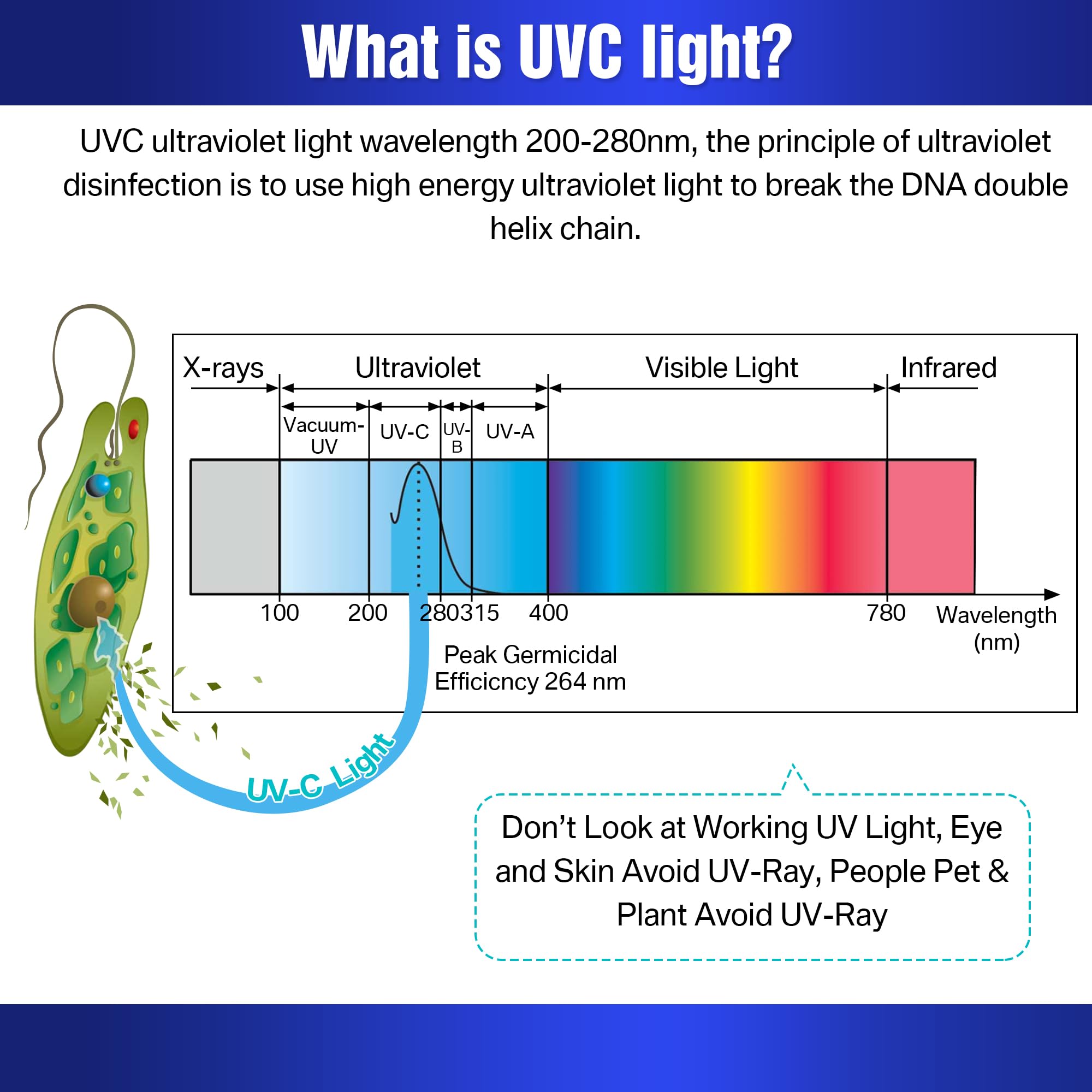 Qualirey 2 Pack UV Germicidal Light Bulb with Ozone, 25 Watt Replacement UVC Lamp E27 110V, UV Disinfection Light Bulb for Basement Bedroom Kitchen to Kill Germs, Bacteria, Kill Mites