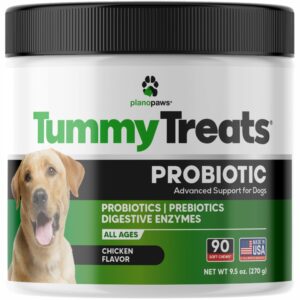 probiotics for dogs all ages - dog probiotics for digestive health - digestive enzymes for gut flora, diarrhea & bowel support - gut health support prebiotics for dogs - 90 probiotic chews for dogs