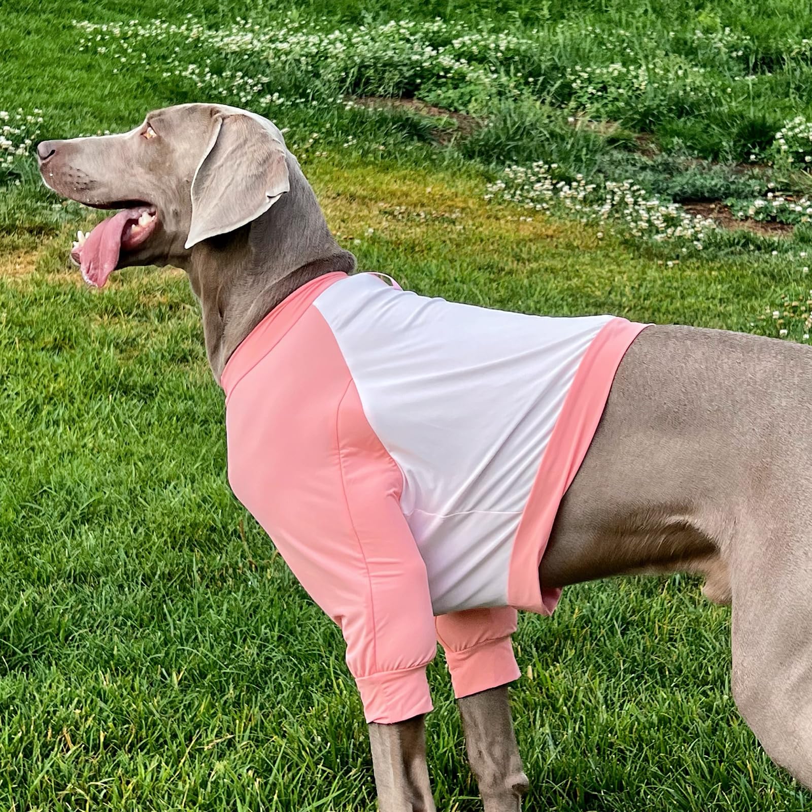 IECOii Dog Shirt,Dog Summer Shirt for Large Dogs,Breathable Dog Summer T Shirt for Dogs Shirts Boy Girl,Cool Dog Shirt with Sleeve to Stop Licking,Dog Elbow Brace Protector Shirt for Surgery Recovery