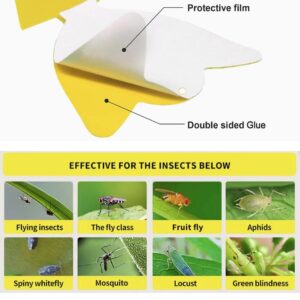 48 Pcs Multi-Sized Sticky Trap For Fungus Gnat (Plants), Flying Insect, Fly, Beautify & Liveliness, Usable In Various Size Pot, Yellow Insect Trap For Indoor, Outdoor, Kitchen & Plant, 3-Shape, 3-Size