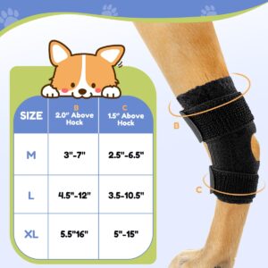 Huimpet Short Rear Leg Hock Brace, Dog Leg Braces for Back Leg with Flexible Velcro, Dog ACL Brace hind Leg, Hock & Ankle Support, Dog Leg Sleeve Protect Wound and Pain Relief, Medium,1 Pair, Black