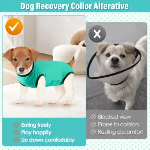 Due Felice 2 Packs Dog Surgery Recovery Suit Small Dogs Onesie for Surgery Female Male Dog Surgical Recovery Suit After Spayed Neuter Body Suit Anti-Licking Wounds Dog Cone Alternative