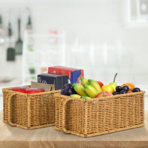 small wicker basket with handles, rectangular baskets for shelf organizing, basket set of 2