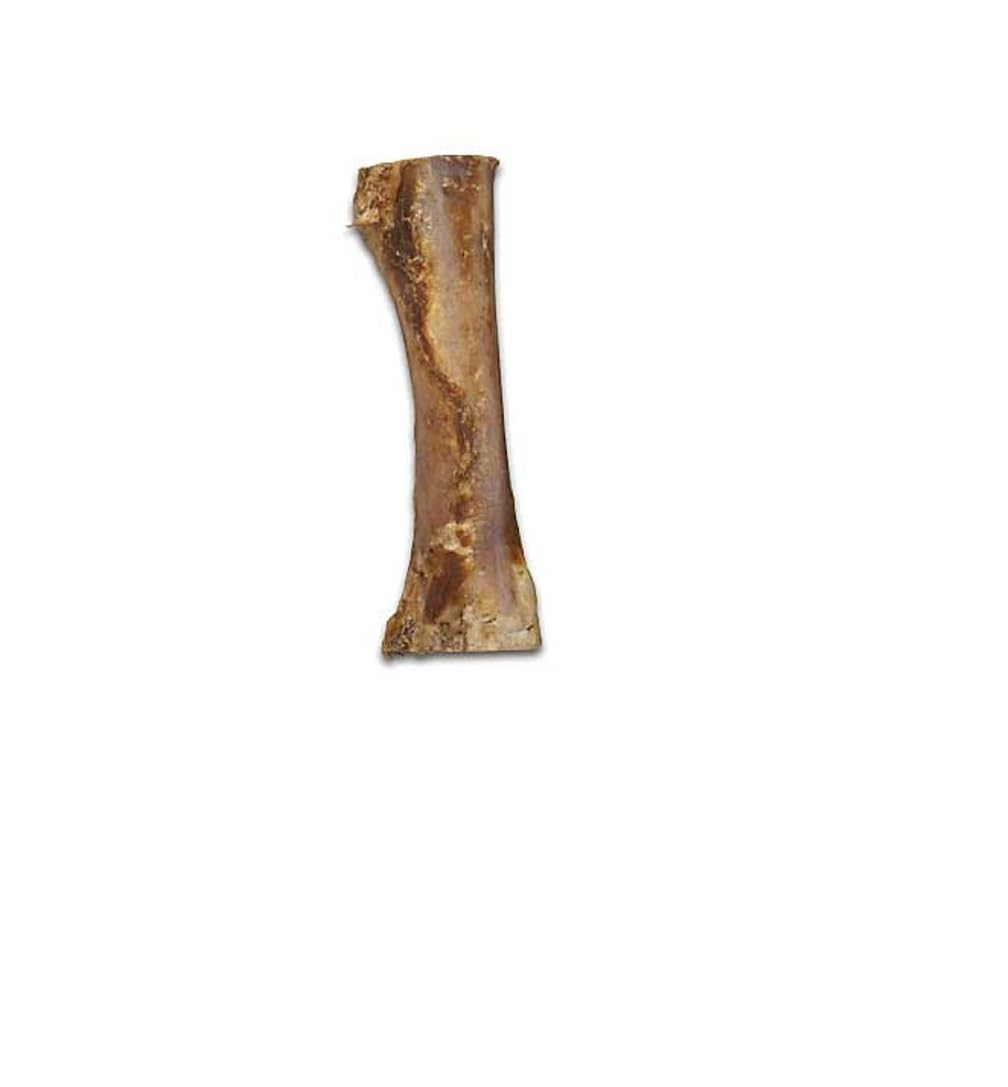 MPP All Natural Buffalo Meaty Femur Dog Bone 7 to 9 Inch Packs Healthy Dental Chews (3 Bones)