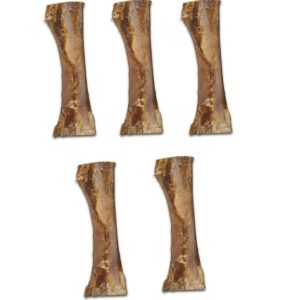 MPP All Natural Buffalo Meaty Femur Dog Bone 7 to 9 Inch Packs Healthy Dental Chews (3 Bones)