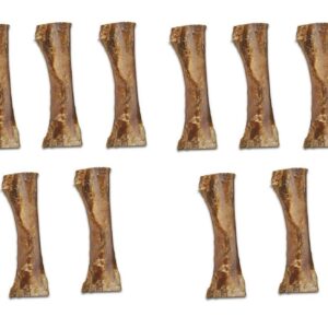 MPP All Natural Buffalo Meaty Femur Dog Bone 7 to 9 Inch Packs Healthy Dental Chews (3 Bones)