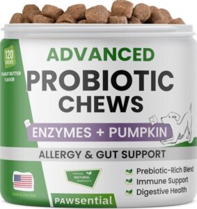 dog digestive support probiotic chews - enzymes, probiotics, prebiotics, and pumpkin for dogs - improve stool quality and consistency - relief from gas, constipation, diarrhea 99ct