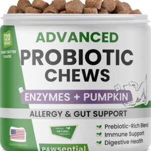 Dog Digestive Support Probiotic Chews - Enzymes, Probiotics, Prebiotics, and Pumpkin for Dogs - Improve Stool Quality and Consistency - Relief from Gas, Constipation, Diarrhea 99ct