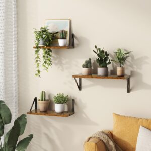 Fun Memories Floating Shelves Wall Mounted Set of 3, 16.5 Inch Natural Wood Wall Shelves, Decor Storage Shelf for Bedroom Bathroom Living Room Office Pictures Plants Books Cats TV (Rustic Brown)