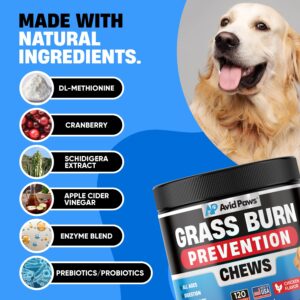 Dog Urine Neutralizer for Lawn - Green Grass Dog Chews Helps Lawn Burn from Dog Urine - Dog Pee Grass Neutralizer - Grass Savers for Dog Urine - Dog Rocks Alternative - Urinary Tract & Bladder Support