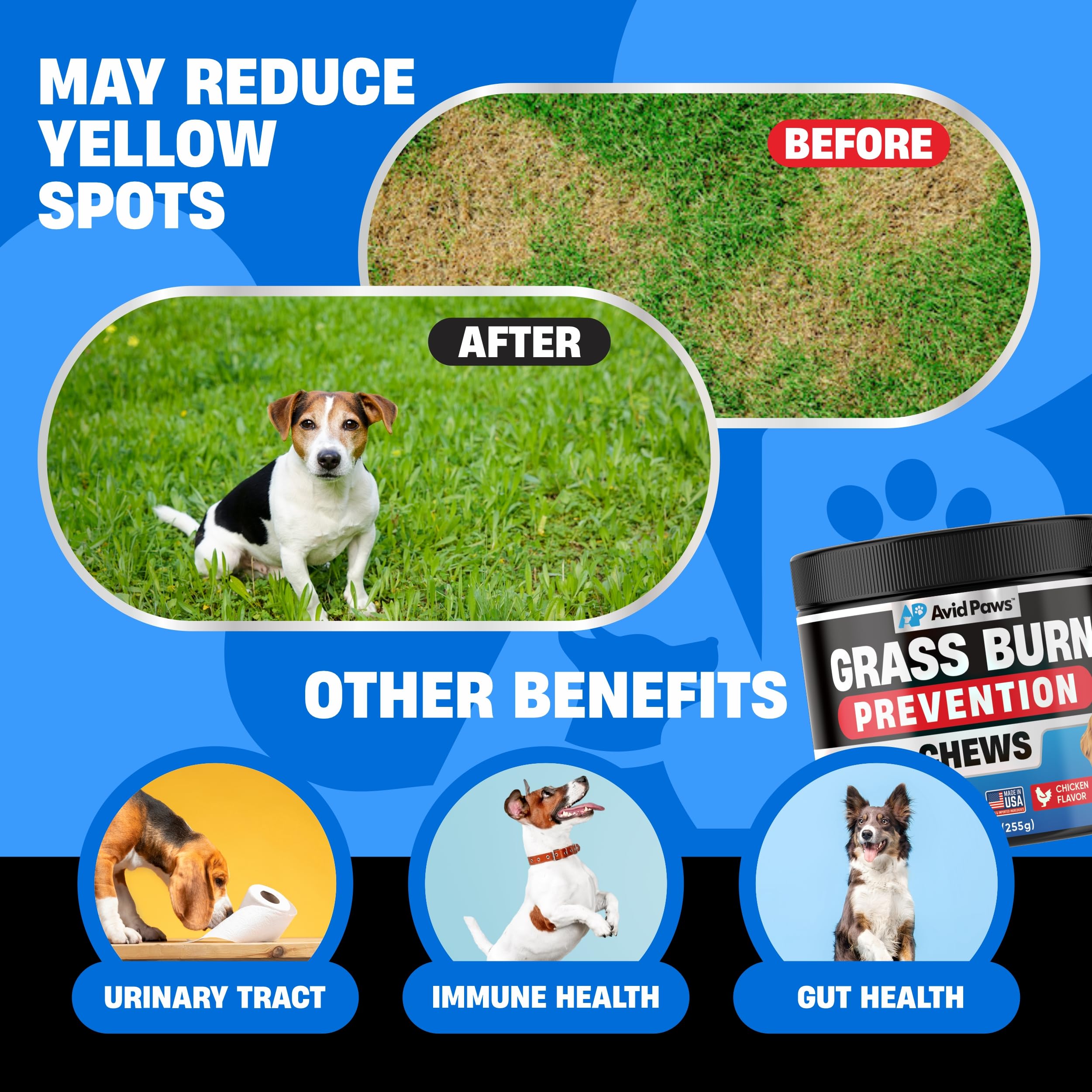 Dog Urine Neutralizer for Lawn - Green Grass Dog Chews Helps Lawn Burn from Dog Urine - Dog Pee Grass Neutralizer - Grass Savers for Dog Urine - Dog Rocks Alternative - Urinary Tract & Bladder Support