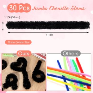 Hotop 30 Pcs Extra Thick Pipe Cleaners 30mm Jumbo Pipe Cleaners Craft Supplies Chenille Stems Pipe Cleaners for Beginners Christmas DIY Art Supplies Decorations(Black)