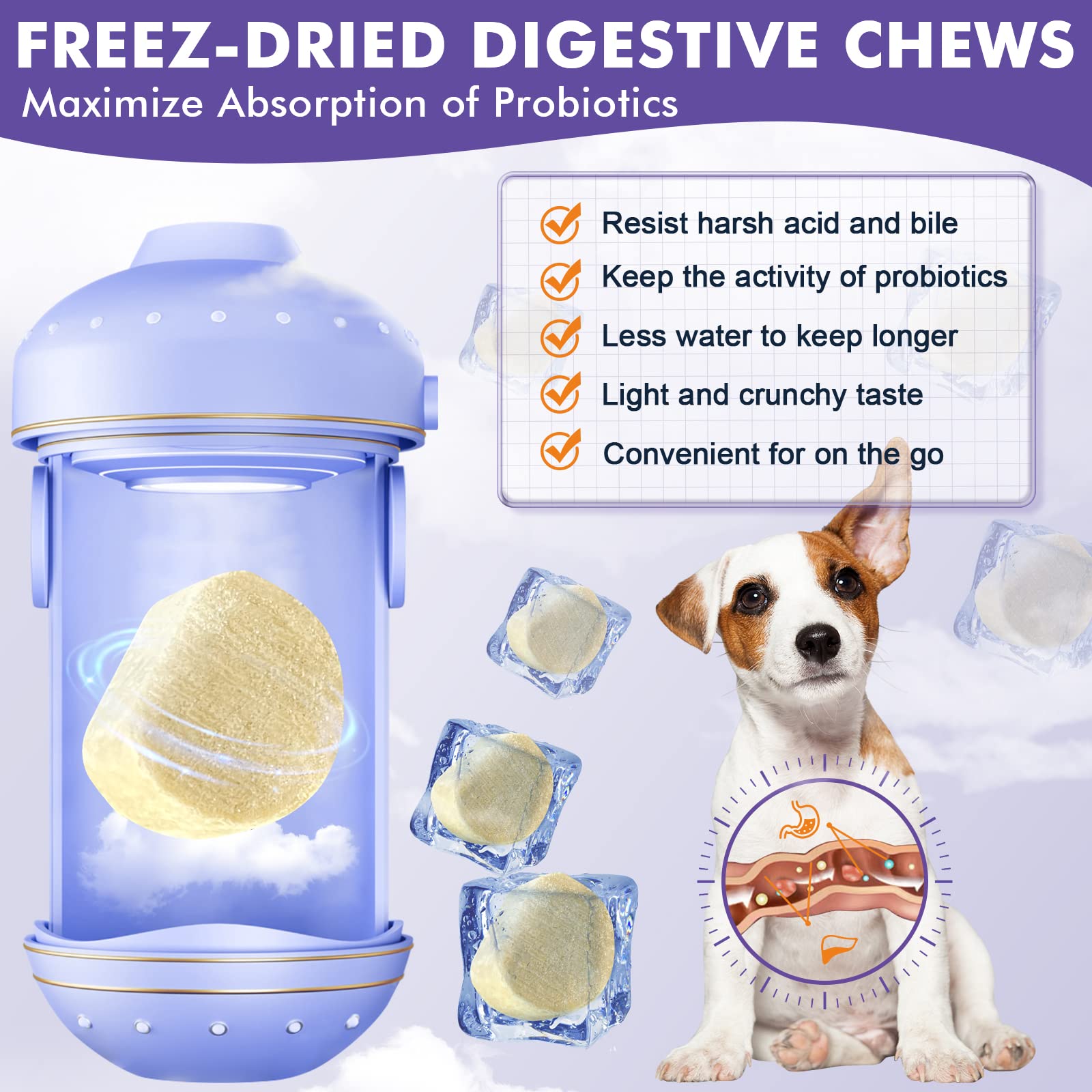 Probiotics for Dogs, Freeze-Dried Dog Probiotics and Digestive Enzymes, Plus Omega-3 for Itchy Skin, 3-in-1 Prebiotics for Digestive Health, Dog Vitamins and Supplements for Immune Health, 120 Bites