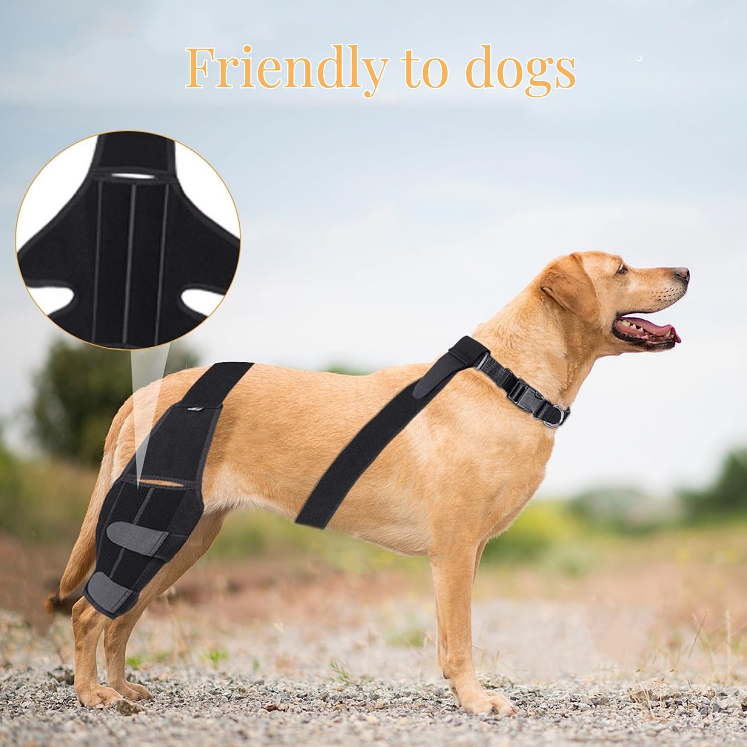 Generic Dog Knee Brace Leg Braces - Dog Canine Knee Stifle Brace Wrap Dog Knee Brace for Torn ACL Hind Leg Joint Pain Muscle Sore Pet Brace Reduces Pain and Inflammation (M), Medium, Black