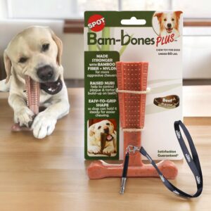 moofin Bam Bones for Dogs, Plus T Bone, 6 inch Chew Toy, Bundle SS Pet Training Whistle, Beef Flavored Dog Bones for Aggressive Chewers, Ideal for Dogs Under 60lbs~ [Pack of 5]