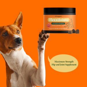 NZorganix FlexxiJoints Hip and Joint Supplement Chews for Dogs, Cats • 100% Grass-Fed Beef Bone Collagen New Zealand Green-Lipped Mussels • 50 Chews