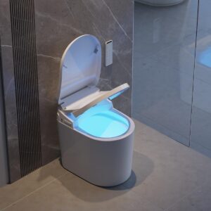 homary modern small smart toilet bidet, floor mounted automatic toilets for bathroom, one-piece elongated inteligente toilet with auto flush,heated seat, warm water, self cleaning