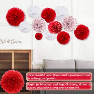 Qimoo 20pcs Red Paper Pom Poms Decorations, DIY Decorative Tissue Paper Pom-poms Flowers Ball for Party Wedding Outdoor Decoration