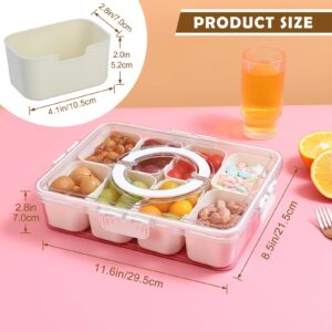 NOIRUC-CZ Divided Clear Snackle Box with Lid and Handle Food Serving Tray Fruit & Veggie Container with 8 Detachable Dividers Portable Snack Platters Charcuterie Board Container for Party, Travel (1)