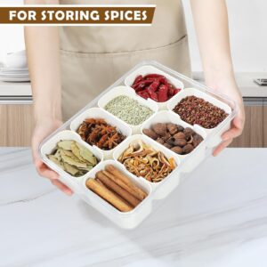 NOIRUC-CZ Divided Clear Snackle Box with Lid and Handle Food Serving Tray Fruit & Veggie Container with 8 Detachable Dividers Portable Snack Platters Charcuterie Board Container for Party, Travel (1)