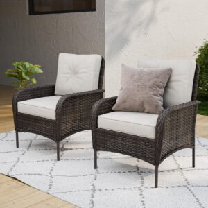 coos bay 2-piece outdoor wicker patio chair, 2pc pe rattan dining chairs for garden, lawn, deck, backyard, beige/brown