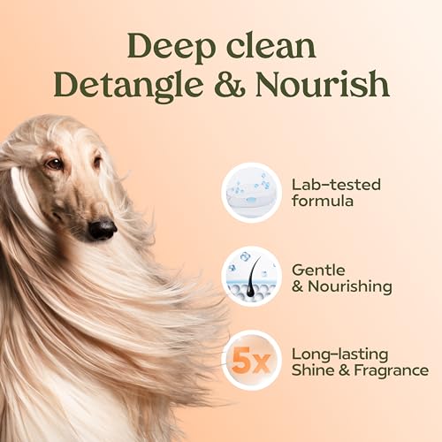 Pawfume Dog Shampoo and Conditioner – Hypoallergenic Dog Shampoo for Smelly Dogs – Best Dog Shampoos & Conditioners – Probiotic Pet Shampoo for Dogs – Best Dog Shampoo for Puppies (Show Dog, 2-Pack)