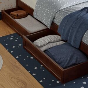 AFI, Barcelona Twin Panel Platform Bed with Storage Drawers, Walnut