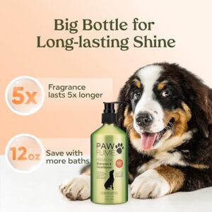 Pawfume Dog Shampoo and Conditioner – Hypoallergenic Dog Shampoo for Smelly Dogs – Best Dog Shampoos & Conditioners – Probiotic Pet Shampoo for Dogs – Best Dog Shampoo for Puppies (Show Dog, 2-Pack)