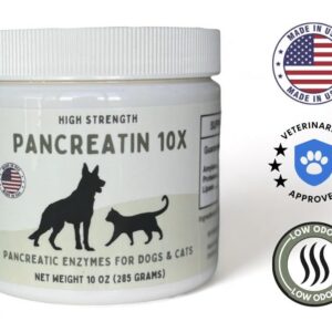 Pancreatin 10X - Pancreatic enzymes for Dogs and Cats (Made in USA) High Strength | Low Odor |10oz (285g)