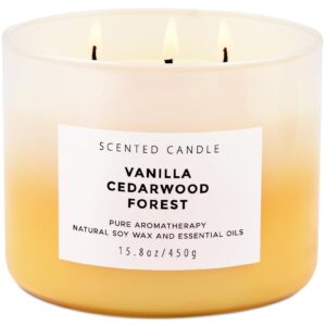 Vanilla Cedarwood Forest Candle - Large 3 Wick Scented Candle - Winter Balsam Fir Candle with Clove & Cedar - Natural Soy Candle for Home 15.8 oz - Aromatherapy Holiday Candle Gift for Women & Men