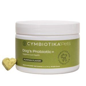 cymbiotika dog probiotic+, probiotics for dogs, gut health & immune support supplement with digestive enzyme and green blend, prebiotics, postbiotics, supplements for dogs, pumpkin flavor, 50 chews