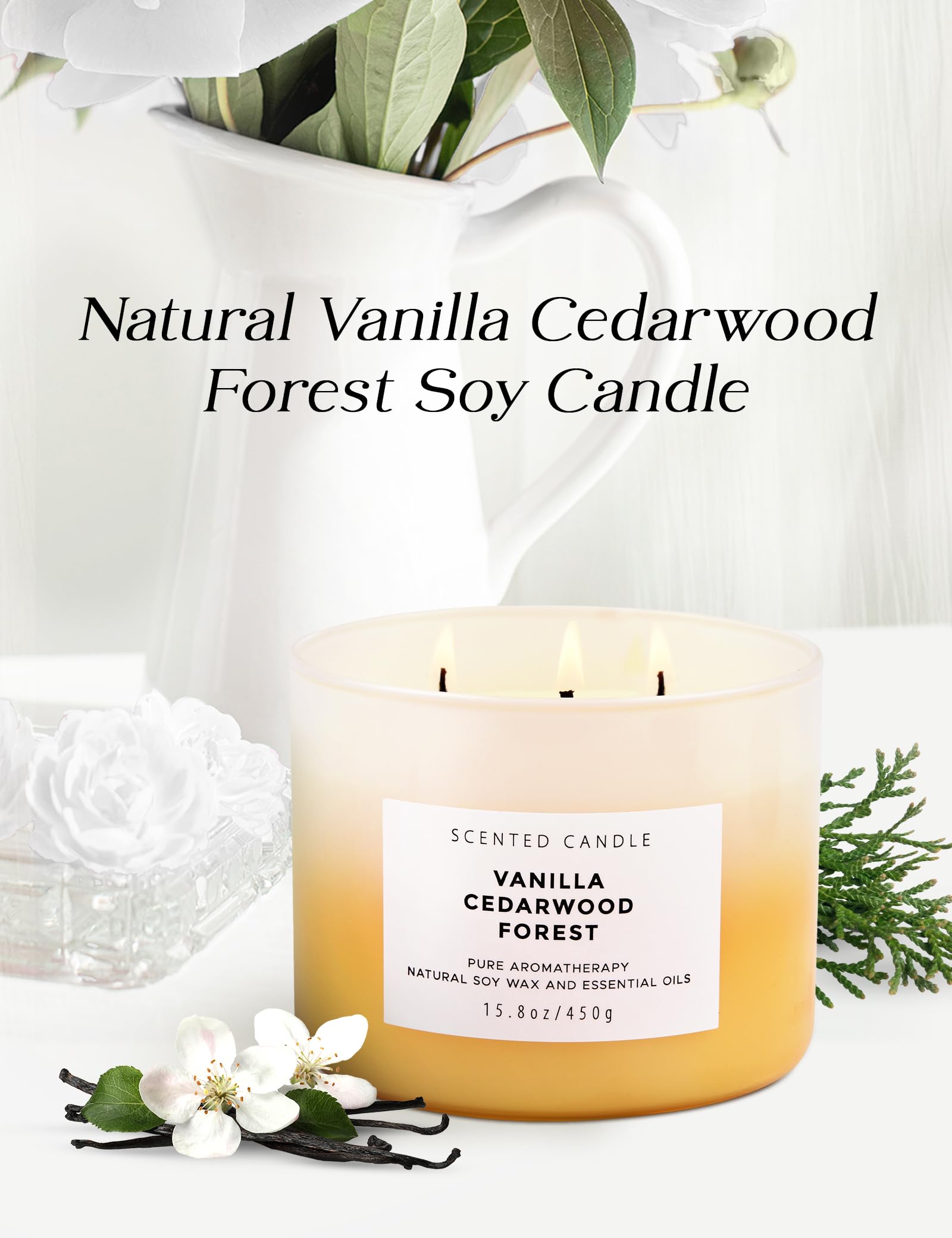 Vanilla Cedarwood Forest Candle - Large 3 Wick Scented Candle - Winter Balsam Fir Candle with Clove & Cedar - Natural Soy Candle for Home 15.8 oz - Aromatherapy Holiday Candle Gift for Women & Men