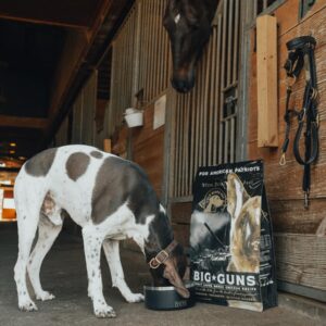 Old Guard Pet Company Big Guns Adult Large Breed Chicken