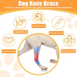 tisueteyi Dog Leg Braces for Front and Back Torn ACL Hind Leg, Rear Leg Joint Care Injury Support for Dogs Luxating Patella, Dog Arthritis, Hip Dysplasia, Adjustable Dog Acl Brace Size M